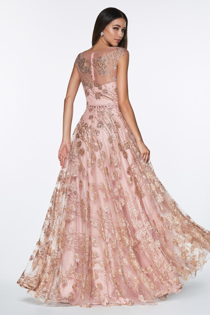 Cinderella Divine CR830
