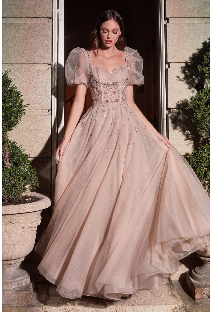 Cinderella Divine B711
