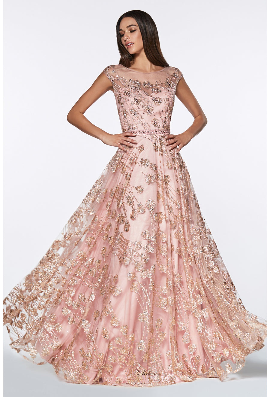 Cinderella Divine CR830