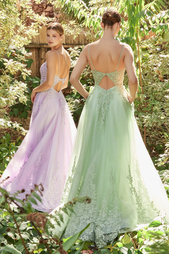 Cinderella Divine A1125
