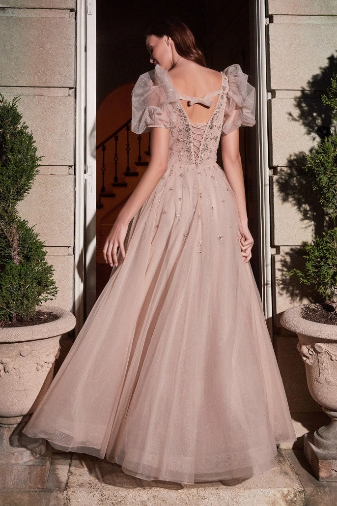 Cinderella Divine B711