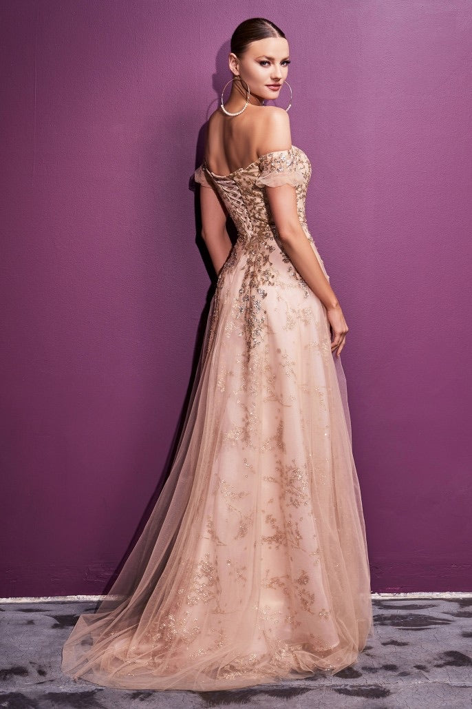 Cinderella Divine C73